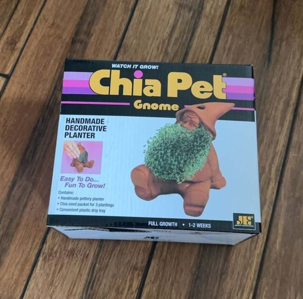 Chia Pet Gnome Handmade Decorative Planter